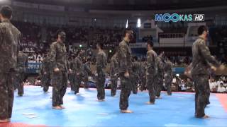 Taekwondo display by the Korean army at the 2013 Hammadang [upl. by Yssenhguahs]