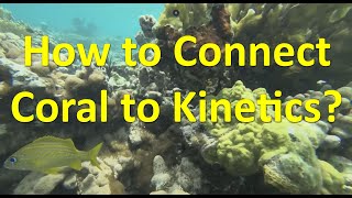 How to Connect Coral to Kinetics [upl. by Deehahs]