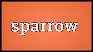 Sparrow Meaning [upl. by Clementius788]