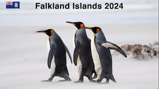 The Falkland Islands  a Wildlife and Battlefield Adventure on 4 Islands [upl. by Sivrup]