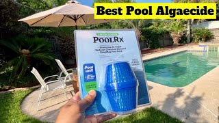 ✅Best Pool Algaecide  Pool RX 101001 6 Month Algaecide Blue Treats 75k20k Gallons [upl. by Karoline985]