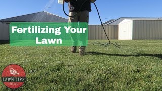 How To Fertilise Your Lawn  Apply Liquid Fertilizer [upl. by Lu99]