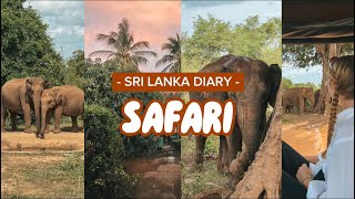 SRI LANKA DIARY Ep3  Safari in Udawalawe  Elefanten Krokodile Pfaue uvm [upl. by Birmingham]