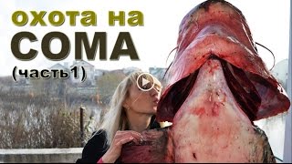 Spearfishing on the Dnieper Giant Cat fish  охота на Днепре  UKRAINE fishing [upl. by Nilesoj]