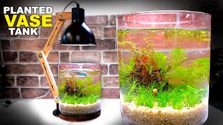 Aquascape Tutorial Vase Aquarium How To Step by Step No Filter Planted Tank Guide [upl. by Jat991]