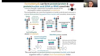 Formaldehyde proteinnucleic acid amp proteinprotein crosslinking biochemistry [upl. by Poole]