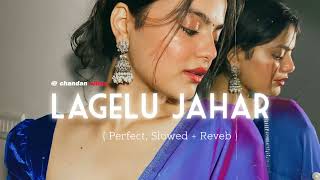 Lagelu Jahar   perfect slowed amp reverb  Bhojpuri songs [upl. by Adnelg]