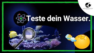 Die 5 wichtigsten Wassertests für dein MeerwasserAquarium [upl. by Alaekim]