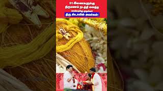 CM MK Stalin Presided over the Marriage of 31 Couples  CM Stalin Latest Speech  DMKITWING [upl. by Lunn]