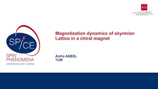 Talks  Spin textures Magnetism meets Plasmonics 2024  Aisha AQEEL TUM [upl. by Rihaz]