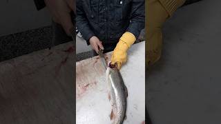 How To Remove Salmon Fish Bones amp Fillet [upl. by Elsey]