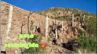 PASO RESTRINGIDO ¿REALMENTE SUCEDIÓ UN ECOSIDIO EN OJOCALIENTEZACATECAS 🚫☘️🌱  coique vlogs [upl. by Aifas372]