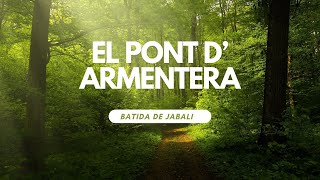 Batida de Jabalí en El Pont de Armentera [upl. by Shakespeare828]