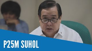 P25M suhol sa mga pagiimbestiga ng Senado [upl. by Ecirad145]