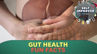 An expert explains why the gut is an important part of the human body  SELF IMPROVED [upl. by Akimert415]