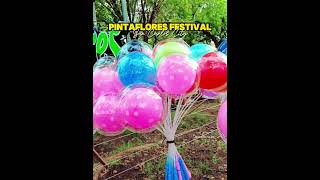 🌺Pintaflores festival  San Carlos City🌺travelblogger photographer teamelitesquad [upl. by Just]