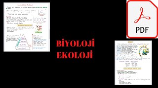 Biyoloji  EKOLOJİ  PDF Notları 👇 [upl. by Anitteb598]