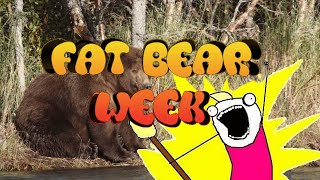 🐻 ITS FAT BEAR WEEK 🐻 [upl. by Eberhard]