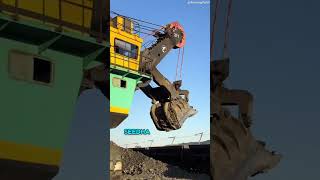 Coal loading excavator machine  shorts youtubeshorts [upl. by Mot]