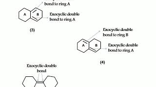 Woodward Fieser Rule for calculating absorption maxima in dienes with examples [upl. by Verge]