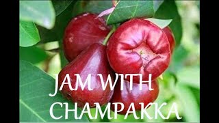 JAM WITH CHAMPAKKA  ചാമ്പയ്ക്ക ജാം  ഇങ്ങനെ ഒന്ന് ഉണ്ടാക്കിയാലോ Vlog  261 [upl. by Sadoff]