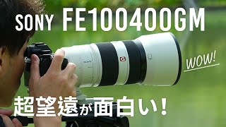 SONY Eマウントの望遠ズーム FE100400 F4556 GM は凄かった！とろけるボケ味初見レビュー [upl. by Ecinev]