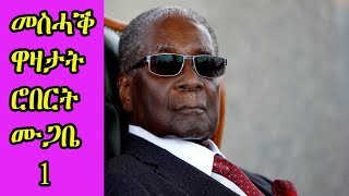 Robert Mugabe Funny jokes Tigrinya  ተረኻብ ዋዛታት ሮበርት ሙጋበ [upl. by Ecyac]