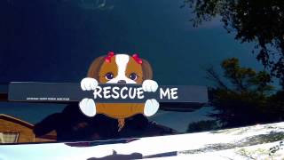 Rescue Animal WiperWags Covers to Rear Wipers [upl. by Benni]