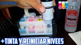 COMO RELLENAR TINTA Y REINICIAR NIVELES DE IMPRESORA MULTIFUNCIONAL EPSON L355 [upl. by Eiramaneet602]