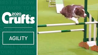 Agility – Crufts Singles Heat  Large  Crufts 2020 [upl. by Muirhead]