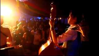 The Electric Swing Circus live  Fieldview 2012 Jungle Jam [upl. by Alysa]