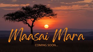 Maasai Mara Trailer [upl. by Thurlow272]