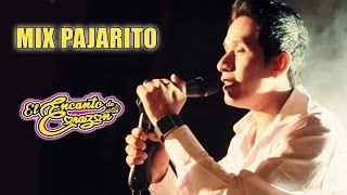 El Encanto de Corazón  Mix Pajarito [upl. by Dorelia]