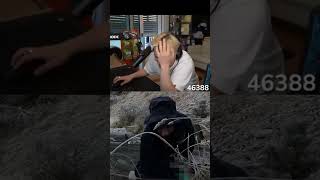 Hugos Schs Anfall  PAPAPLATTE REACTION twitch 7vswild fyp papaplatte LetsHugo deutsch [upl. by Jola671]