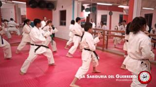 Clase de Karate Shotokan tradicional en La Sabiduría Del Guerrero  México DF [upl. by Yrekaz295]