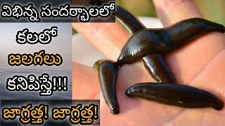 కలలో జలగలు కనిపిస్తే  Kalalo Jalagalu Kanipisthe  Leech in Dream Meaning amp Analysis  Dreambook [upl. by Lunt853]