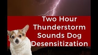 Violent Thunderstorm Dog Sound Training Desensitization Two Hour Nonstop [upl. by Hanshaw506]