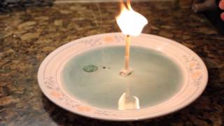 7 Simple Science Tricks With Household Items [upl. by Simpkins]