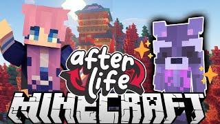 🦝Raccoon Powers 🦝 Ep 1  Afterlife Minecraft SMP [upl. by Pris86]