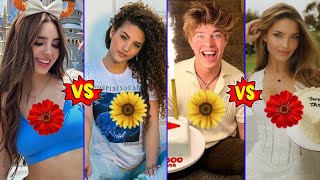 Sofie Dossi vs Domelipa vs Jeremy Hutchins vs Lexi Rivera Lifestyle Comparison 2024 [upl. by Crescin470]