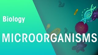 Microorganisms  Genetics  Biology  FuseSchool [upl. by Eaj]