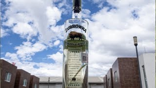 Vodka Notas de Cata y Review Detrás de cámaras  02  ŻUBRÓWKA BISON GRASS [upl. by Odnalo502]