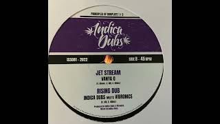 Rising Dub  Indica Dubs meets Vibronics  Principles Of Dub 1 of 3  Indica Dubs Records ISS081 [upl. by Frederique]