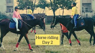 Horse riding second session Charmwood Horse Riding Academy Dehradun Day 2 horse riding [upl. by Tertia312]