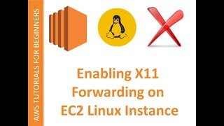 AWS Cloud  EC2 Web Service  Enabling X11 forwarding and running XApplications on LINUX [upl. by Dawkins188]