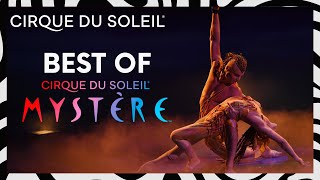 The Best of Mystère  Cirque du Soleil [upl. by Tebor]