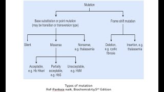 Types of Mutations Point Mutations and Frameshift Mutations  Mutations In Genetics [upl. by Novihs]