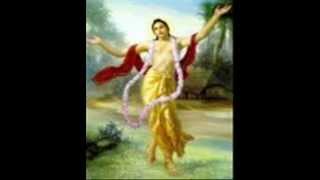 HH Sri Pundrik Goswami Ji Pravachan on RayaRamanand Mahaprabhu Samvad Part 3 [upl. by Kciregor]