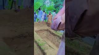 Jagha g lagane ke duneya nhi ha love allahhuakber allah beautiful duet [upl. by Laundes]