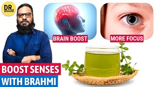 Apna Demag quotBRAHMI BUTIquot Se Tez Karen Bacopa Monnieri Benefits on Brain  Dr Ibrahim [upl. by Agnola]